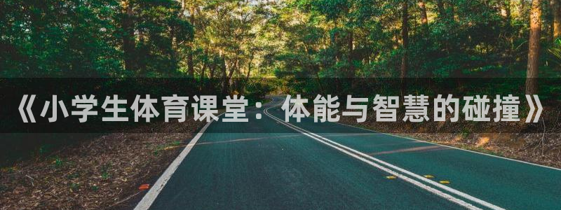 《小学生体育课堂：体能与智慧的碰撞》