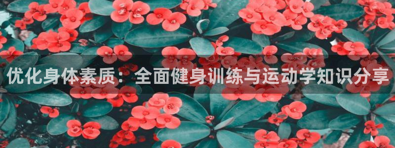 优化身体素质：全面健身训练与运动学知识分享