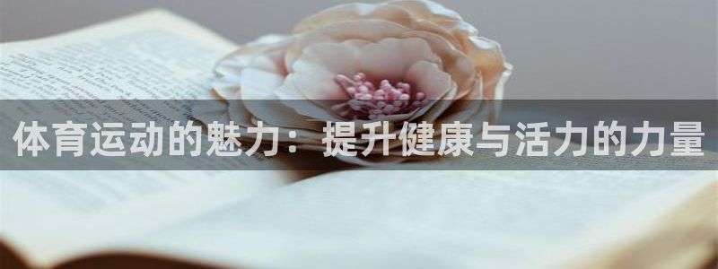 体育运动的魅力：提升健康与活力的力量