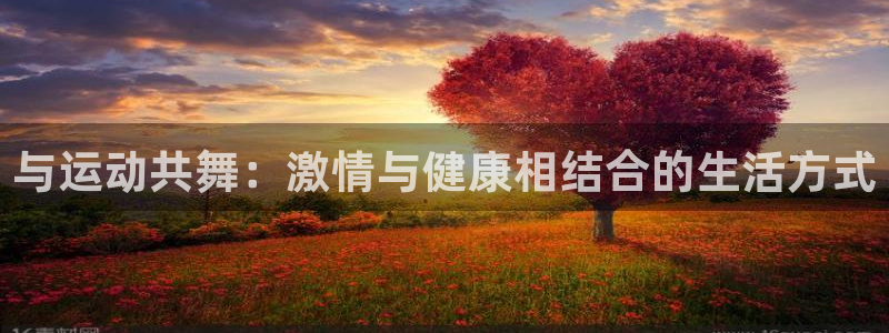 与运动共舞：激情与健康相结合的生活方式