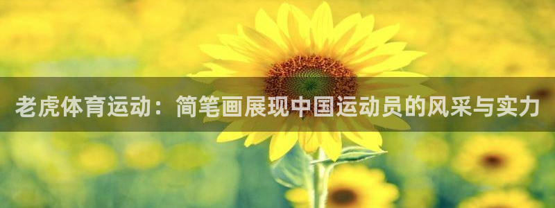 老虎体育运动：简笔画展现中国运动员的风采与实力