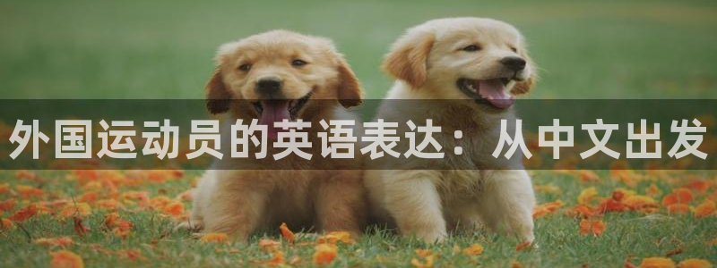 外国运动员的英语表达：从中文出发