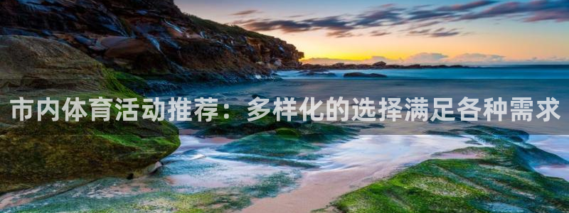 市内体育活动推荐：多样化的选择满足各种需求