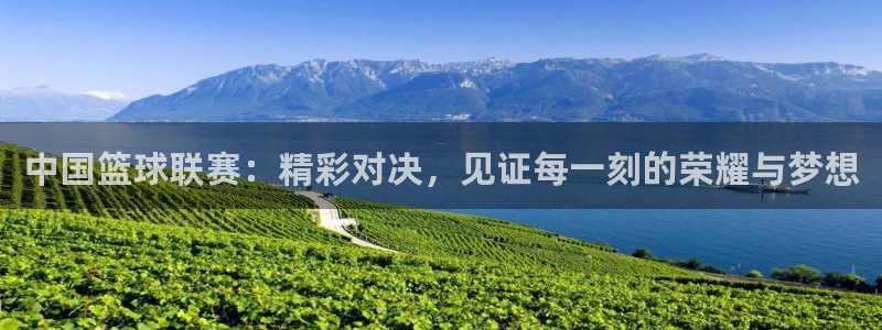 中国篮球联赛：精彩对决，见证每一刻的荣耀与梦想