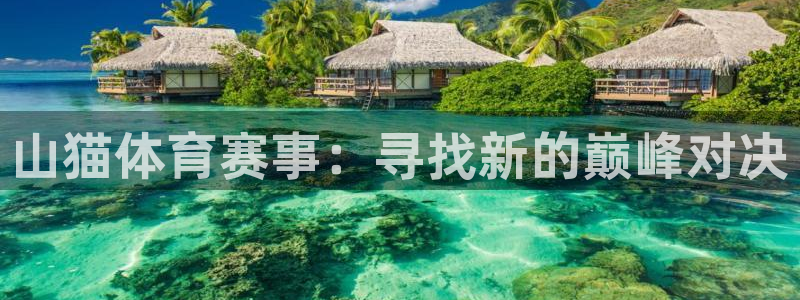 山猫体育赛事：寻找新的巅峰对决
