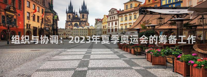 组织与协调：2023年夏季奥运会的筹备工作