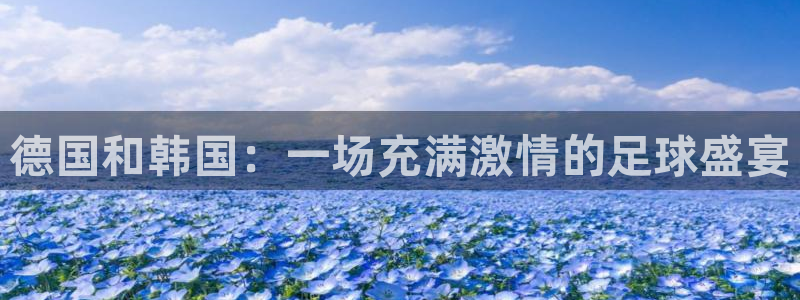 德国和韩国：一场充满激情的足球盛宴