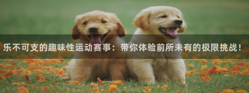 乐不可支的趣味性运动赛事：带你体验前所未有的极限挑战！