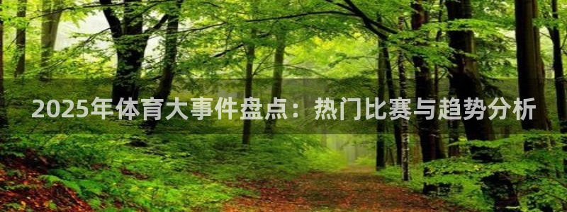 2025年体育大事件盘点：热门比赛与趋势分析