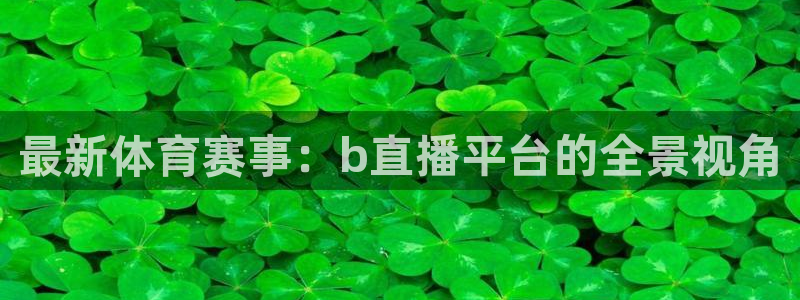 最新体育赛事：b直播平台的全景视角