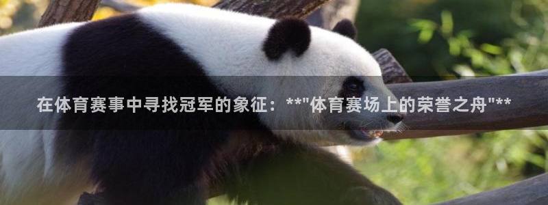 在体育赛事中寻找冠军的象征：**\
