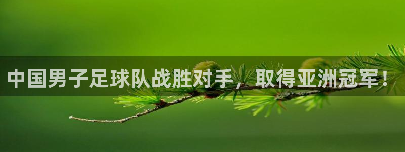 中国男子足球队战胜对手，取得亚洲冠军！