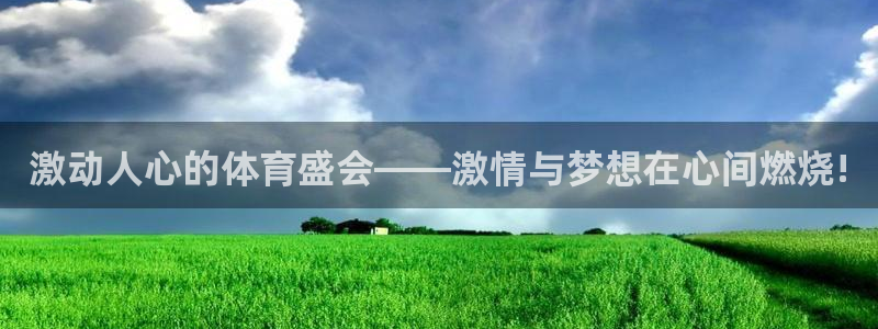 激动人心的体育盛会——激情与梦想在心间燃烧!