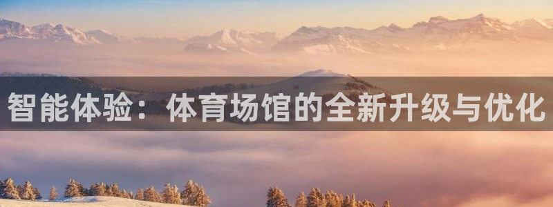 智能体验：体育场馆的全新升级与优化