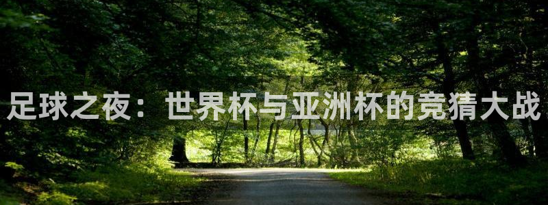 足球之夜：世界杯与亚洲杯的竞猜大战