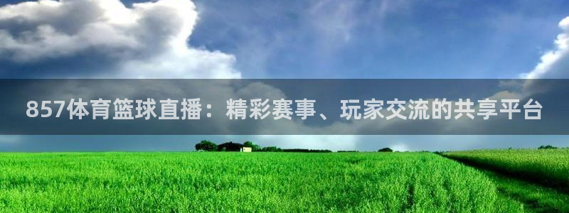 857体育篮球直播：精彩赛事、玩家交流的共享平台