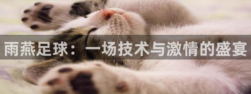 雨燕足球：一场技术与激情的盛宴