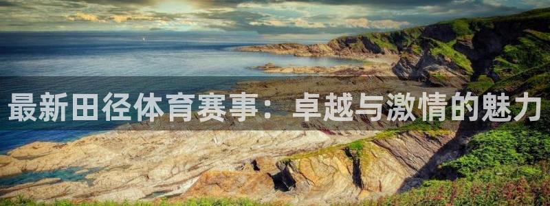 最新田径体育赛事：卓越与激情的魅力