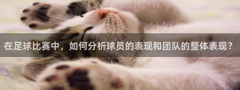 在足球比赛中，如何分析球员的表现和团队的整体表现？