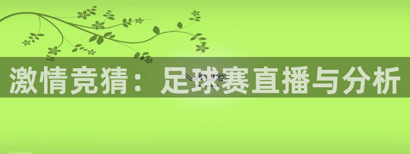 激情竞猜：足球赛直播与分析