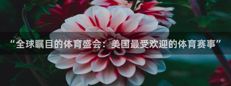 “全球瞩目的体育盛会：美国最受欢迎的体育赛事”