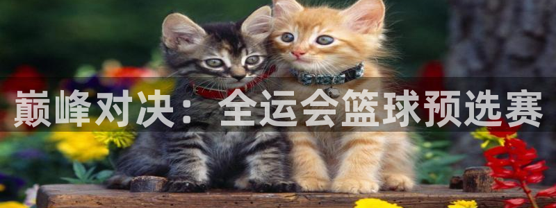 巅峰对决：全运会篮球预选赛