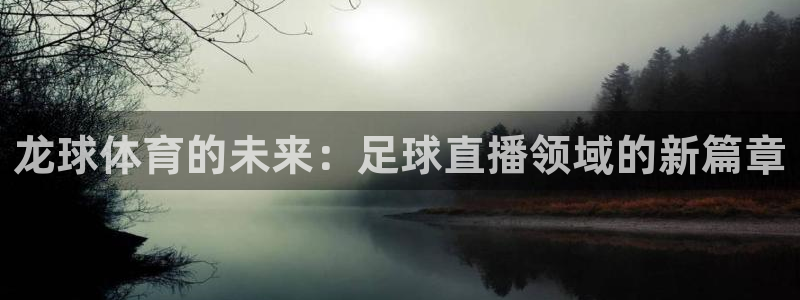 龙球体育的未来：足球直播领域的新篇章