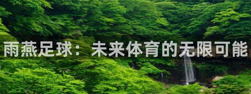 雨燕足球：未来体育的无限可能