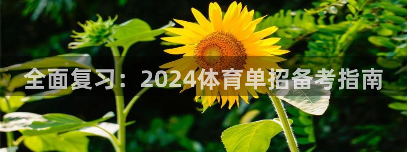 全面复习：2024体育单招备考指南