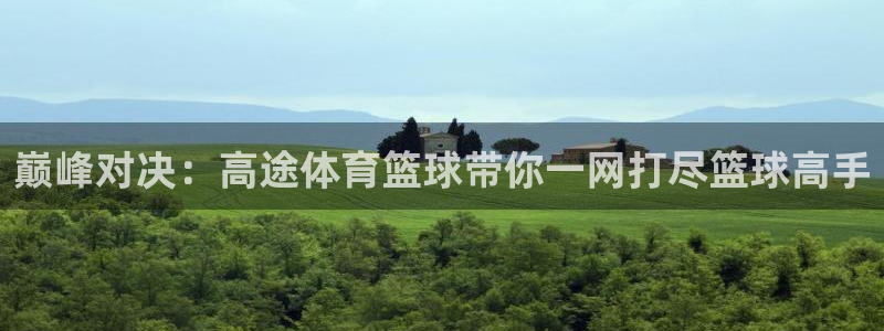 巅峰对决：高途体育篮球带你一网打尽篮球高手