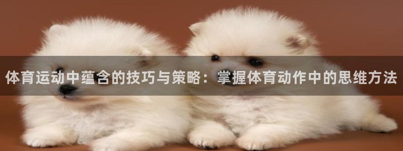 体育运动中蕴含的技巧与策略：掌握体育动作中的思维方法