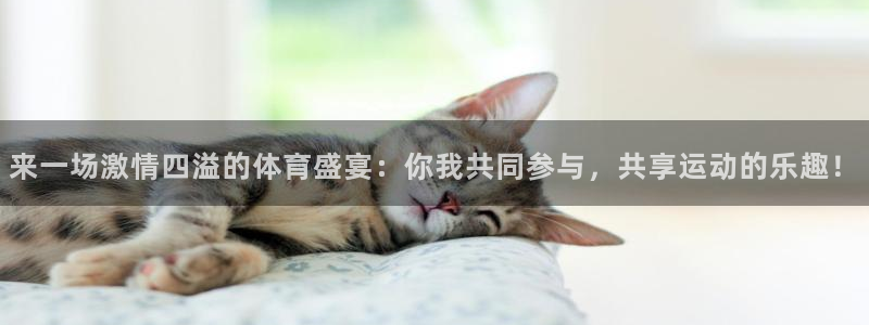 来一场激情四溢的体育盛宴：你我共同参与，共享运动的乐趣！