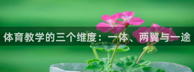 体育教学的三个维度：一体、两翼与一途