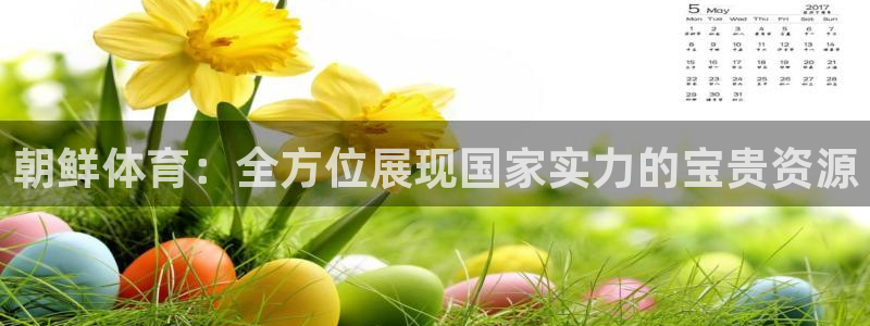 朝鲜体育：全方位展现国家实力的宝贵资源