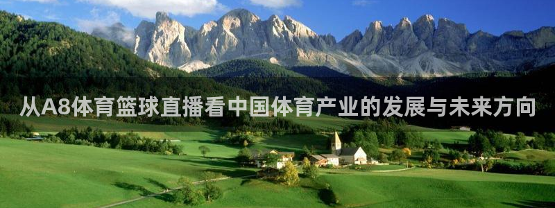 从A8体育篮球直播看中国体育产业的发展与未来方向