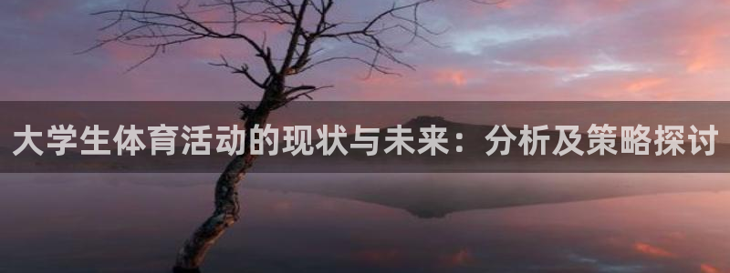大学生体育活动的现状与未来：分析及策略探讨
