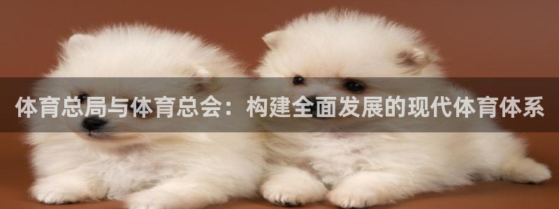 体育总局与体育总会：构建全面发展的现代体育体系