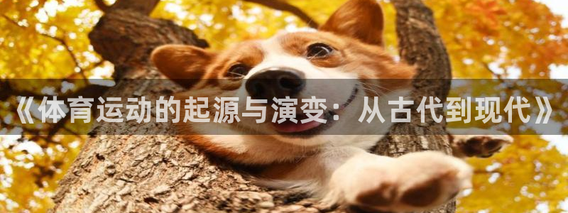 《体育运动的起源与演变：从古代到现代》