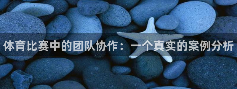 体育比赛中的团队协作：一个真实的案例分析