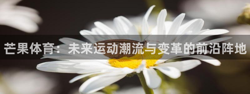 芒果体育：未来运动潮流与变革的前沿阵地