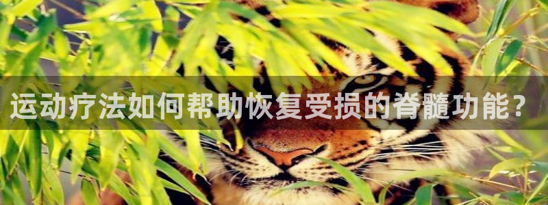 运动疗法如何帮助恢复受损的脊髓功能？