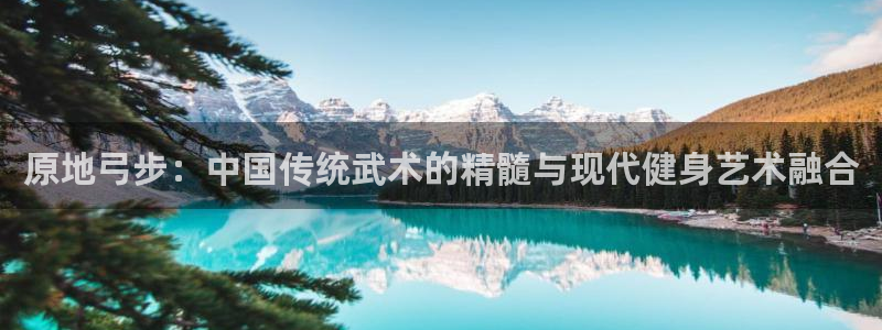 原地弓步：中国传统武术的精髓与现代健身艺术融合