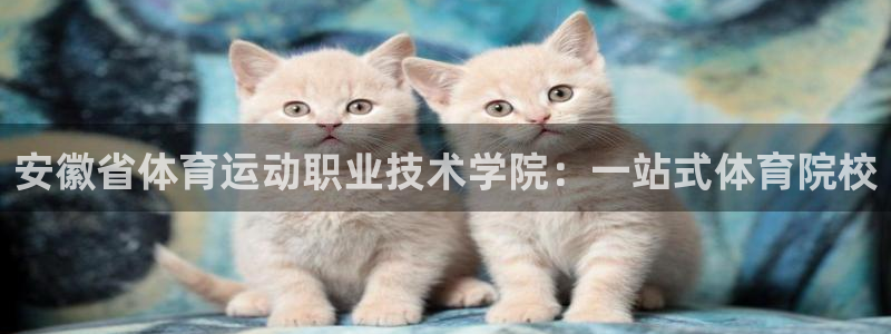 安徽省体育运动职业技术学院：一站式体育院校